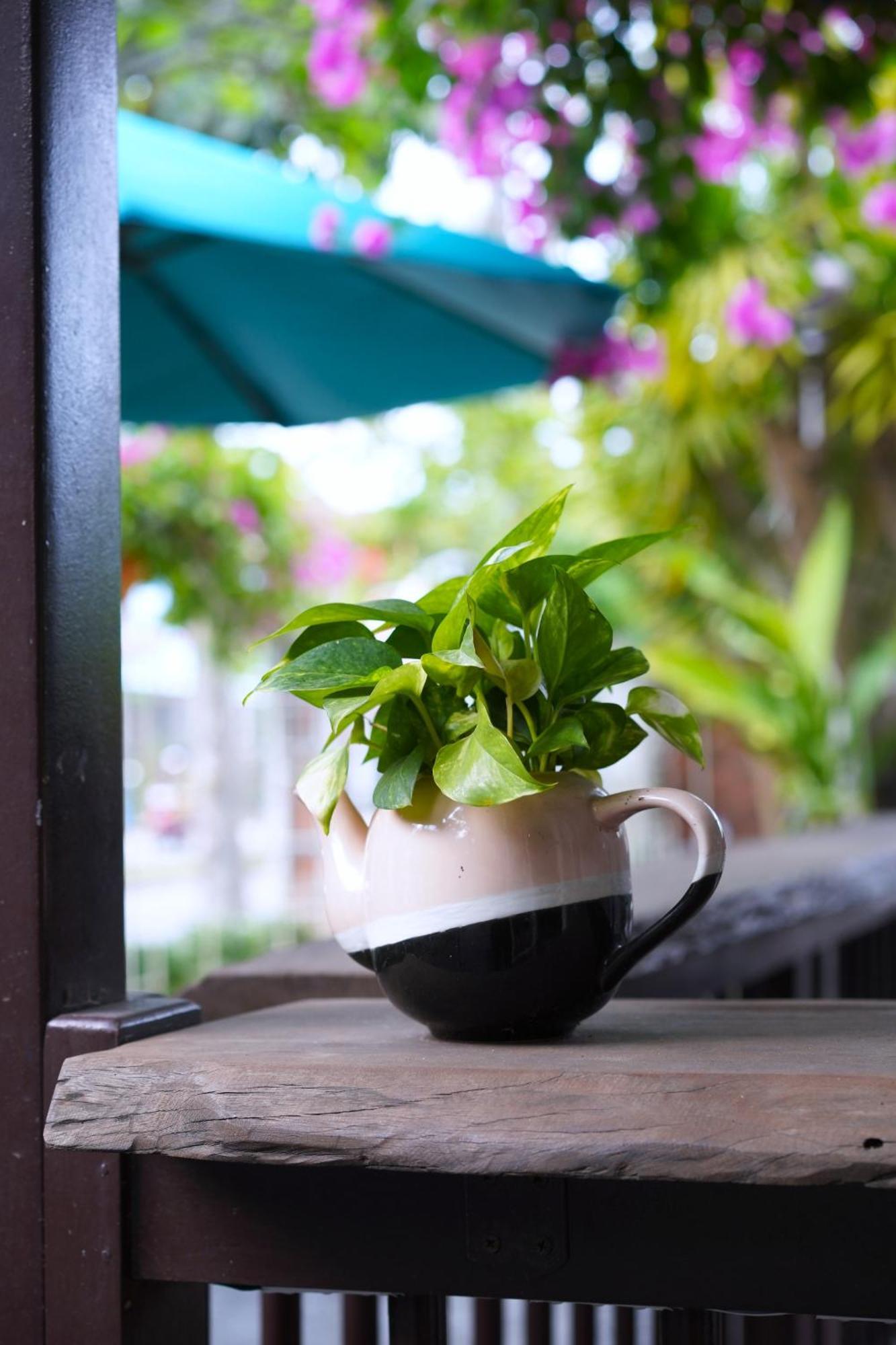 Blooms Boutique Village Hoi An Exterior photo