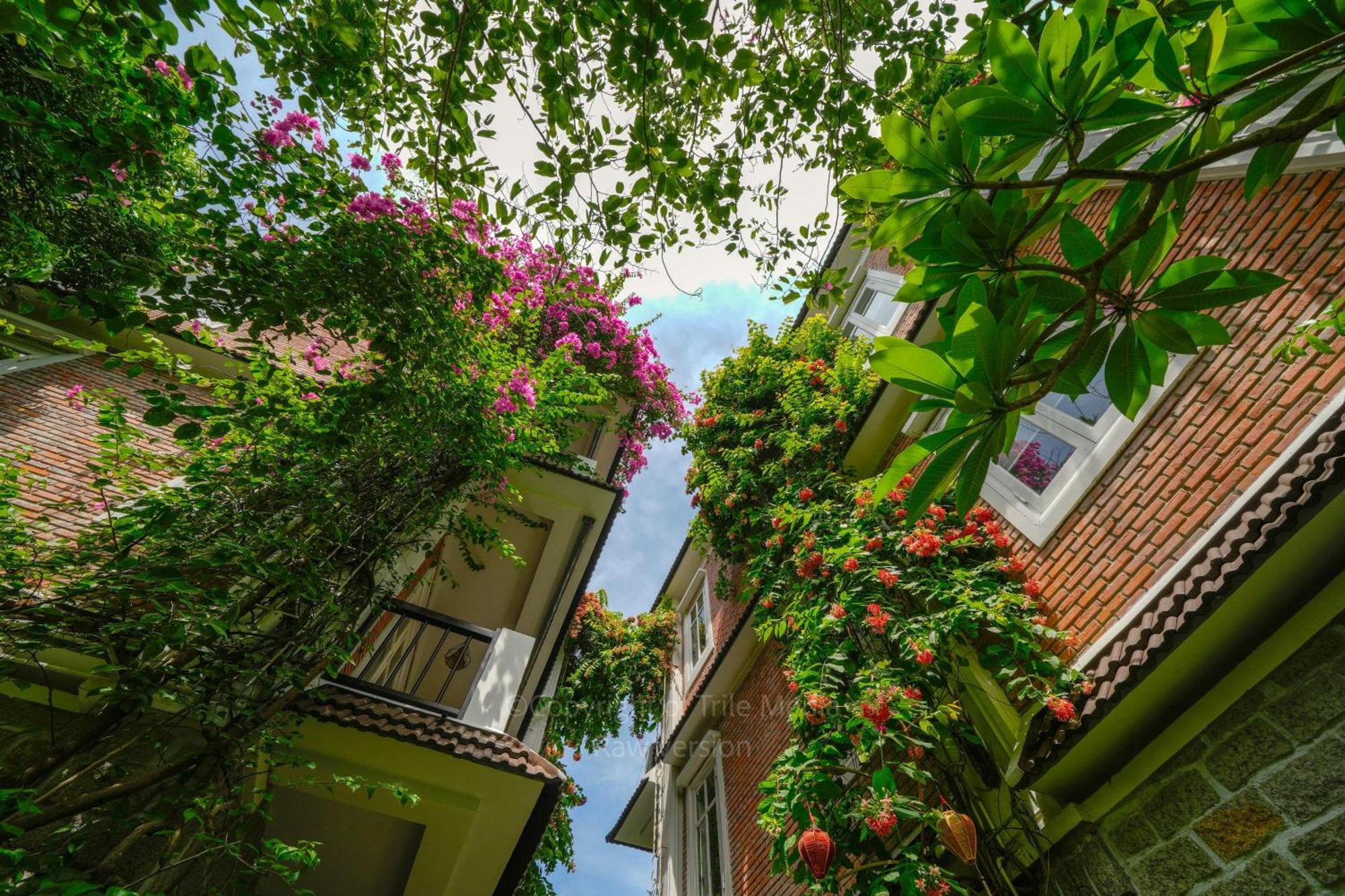 Blooms Boutique Village Hoi An Exterior photo